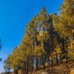 Travel Destinations, Latest travel Update UK, Air travel news, Travel Destinations 2026, Travel trends USA, Digital nomad visa countries, Top travel technology, Visa-free travel updates, Safe travel tips 2026, Tourism recovery news, New e-visa countries 2026, air travel news, travel news today, USA travel news