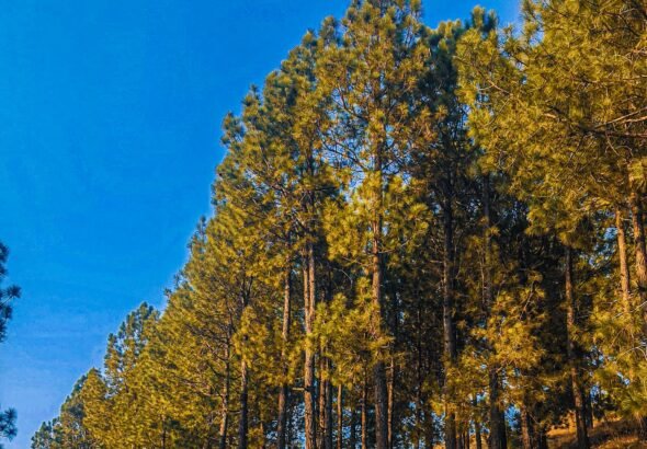 Travel Destinations, Latest travel Update UK, Air travel news, Travel Destinations 2026, Travel trends USA, Digital nomad visa countries, Top travel technology, Visa-free travel updates, Safe travel tips 2026, Tourism recovery news, New e-visa countries 2026, air travel news, travel news today, USA travel news