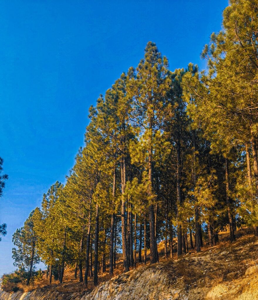 Travel Destinations, Latest travel Update UK, Air travel news, Travel Destinations 2026, Travel trends USA, Digital nomad visa countries, Top travel technology, Visa-free travel updates, Safe travel tips 2026, Tourism recovery news, New e-visa countries 2026, air travel news, travel news today, USA travel news
